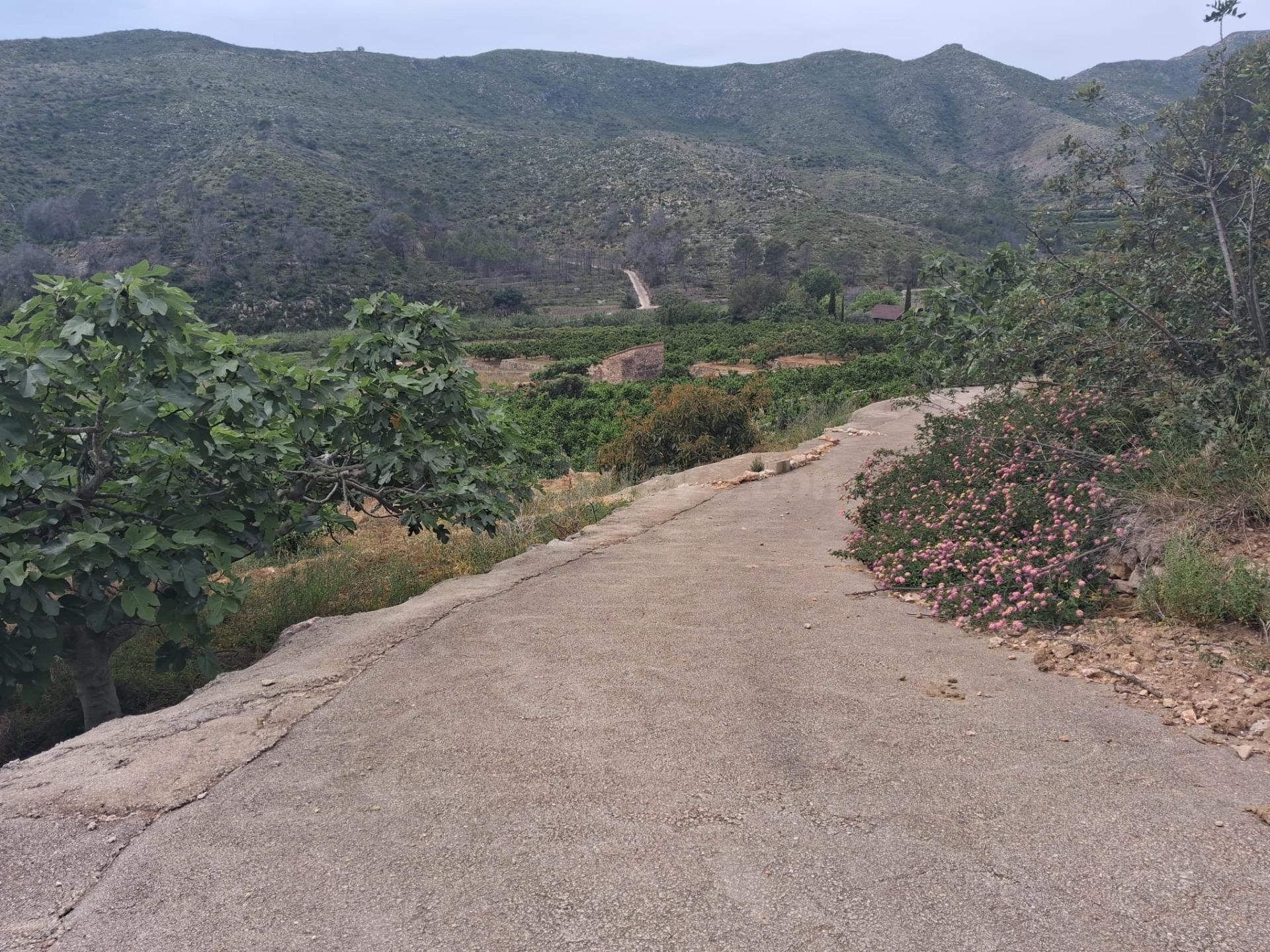 Terreno rural en venta - Comunidad valenciana - foto 2