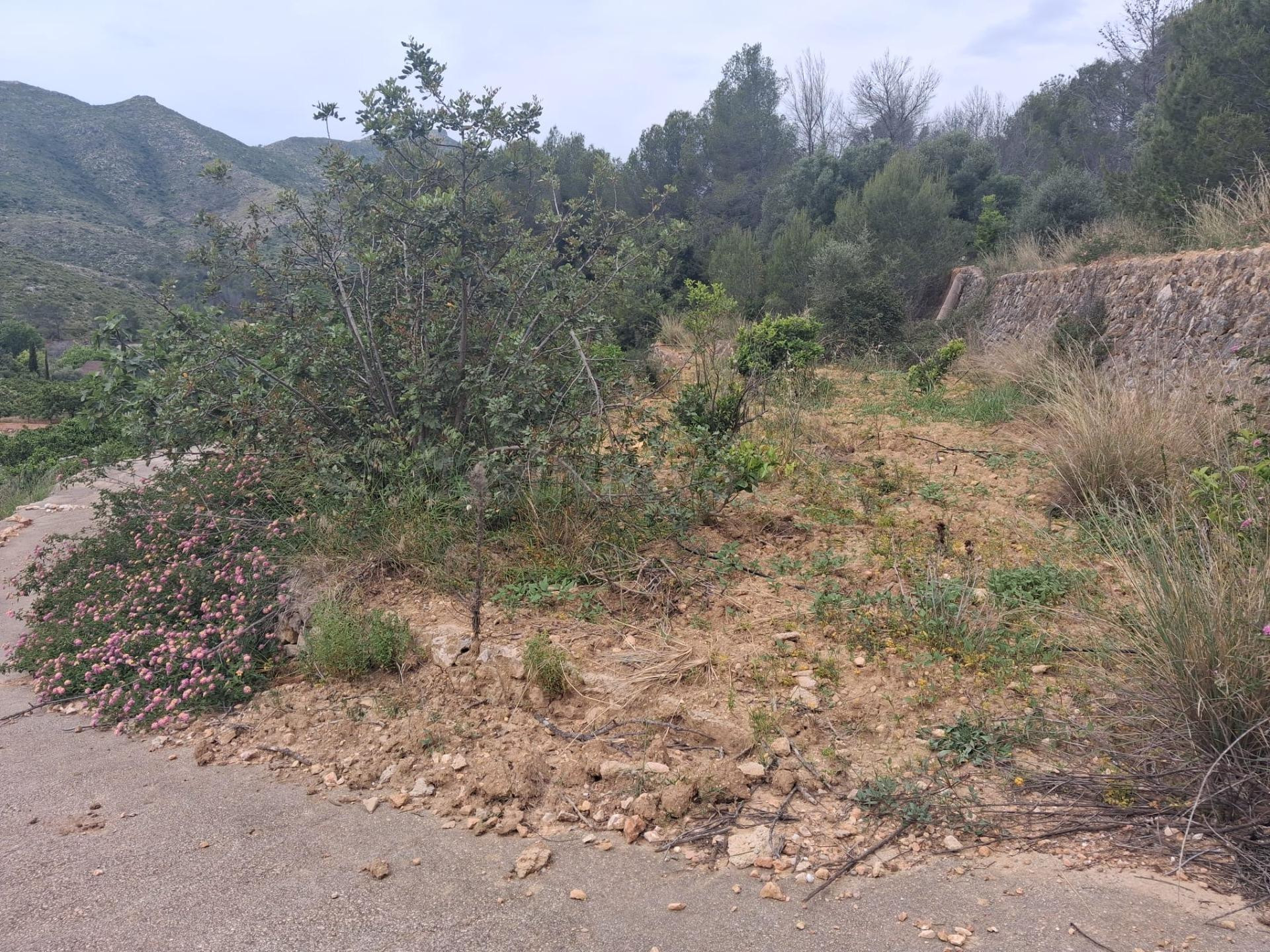 Terreno rural en venta - Comunidad valenciana - foto 3