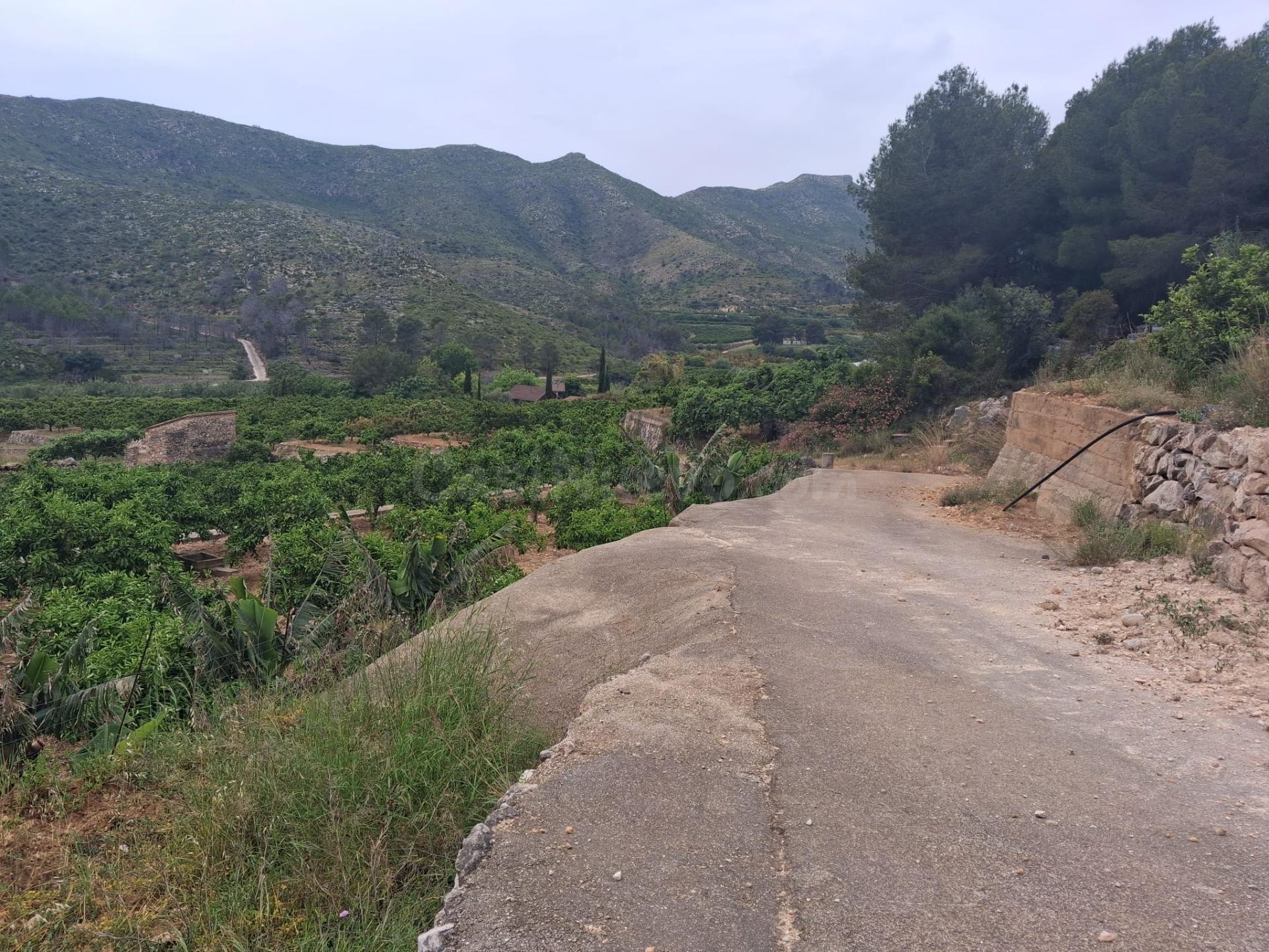 Terreno rural en venta - Comunidad valenciana - foto 4