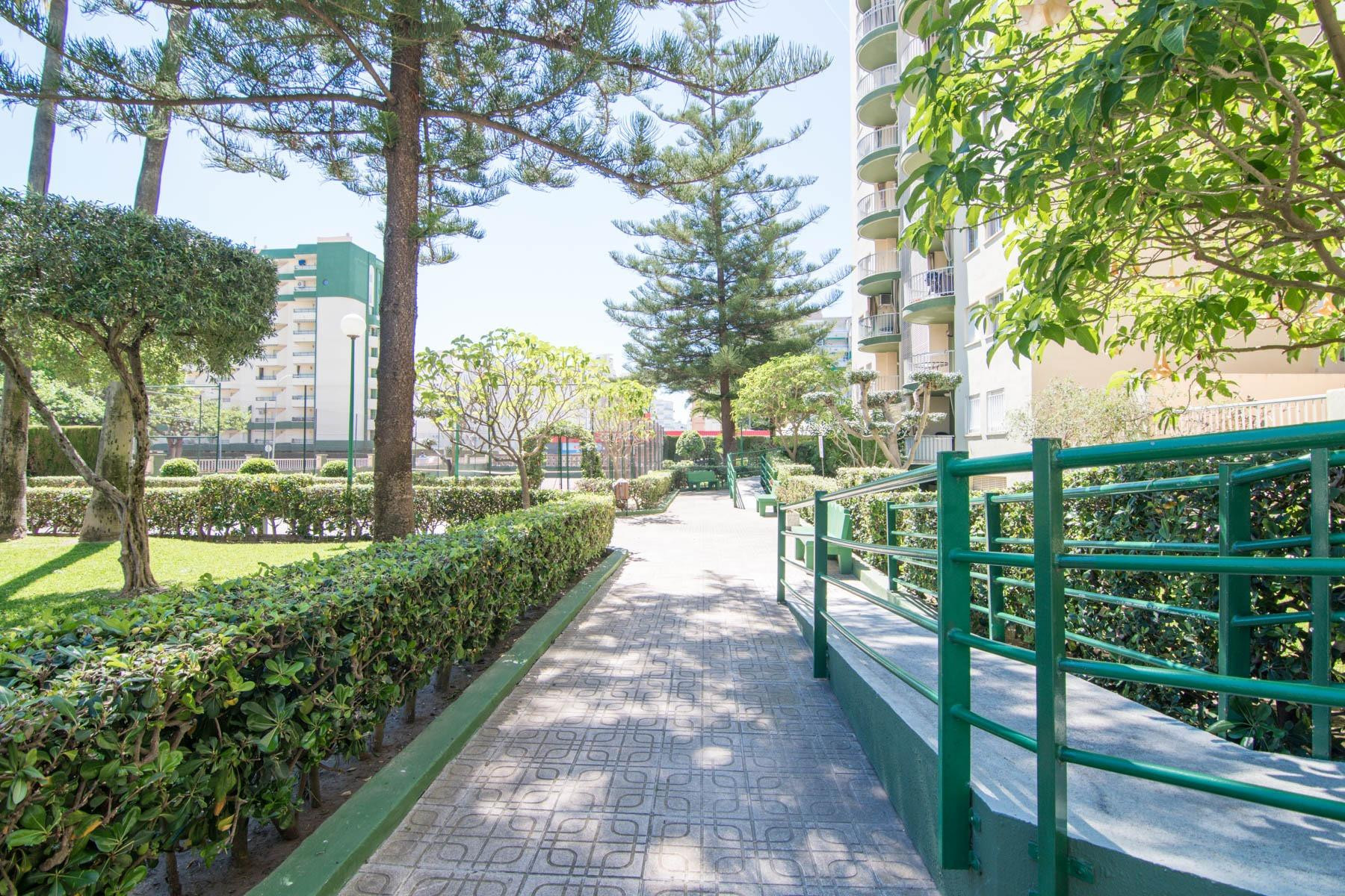 APARTAMENTO EN VENTA PLAYA GANDIA - foto 3