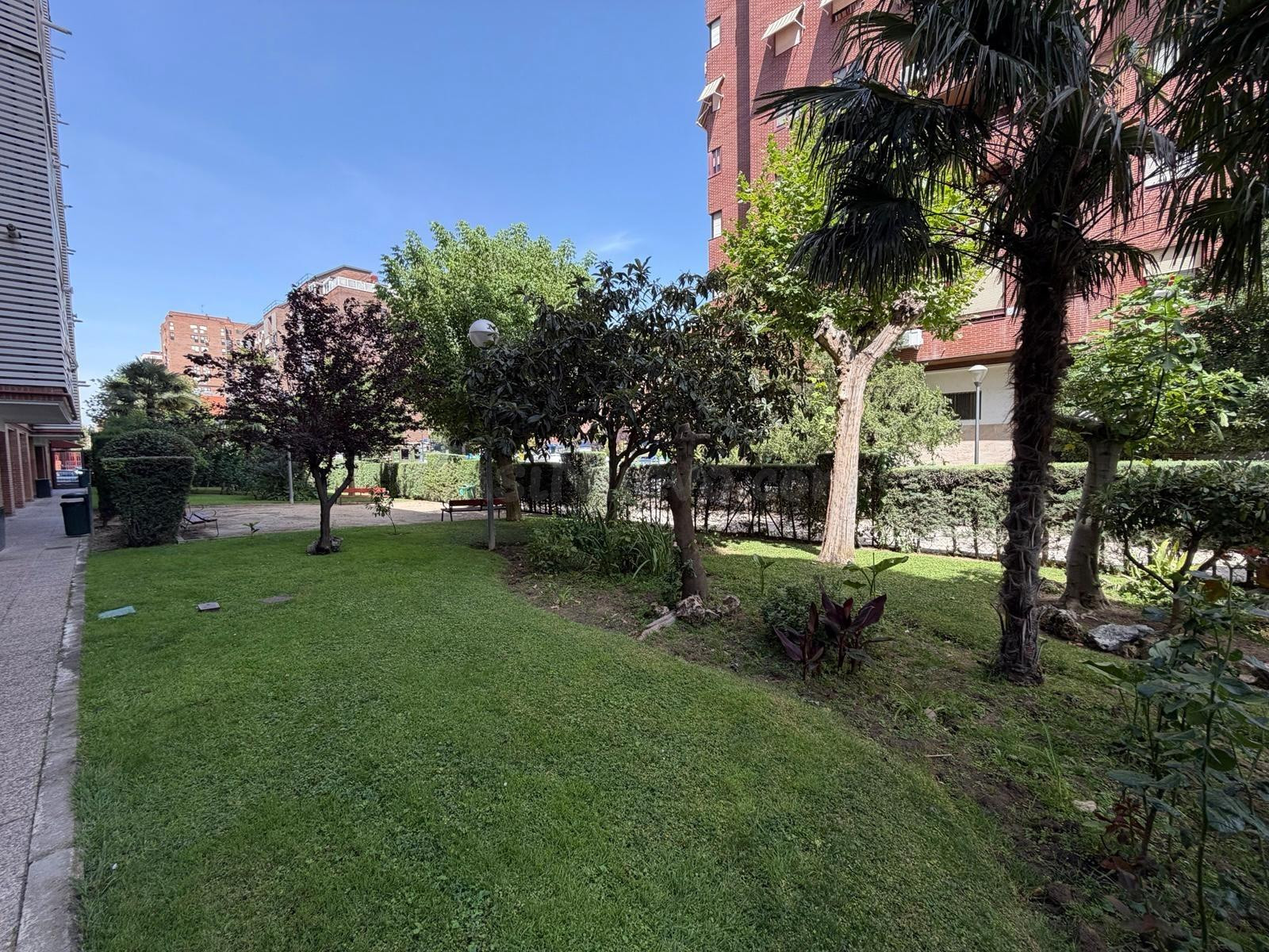 Piso en venta en Carrascal - foto 2