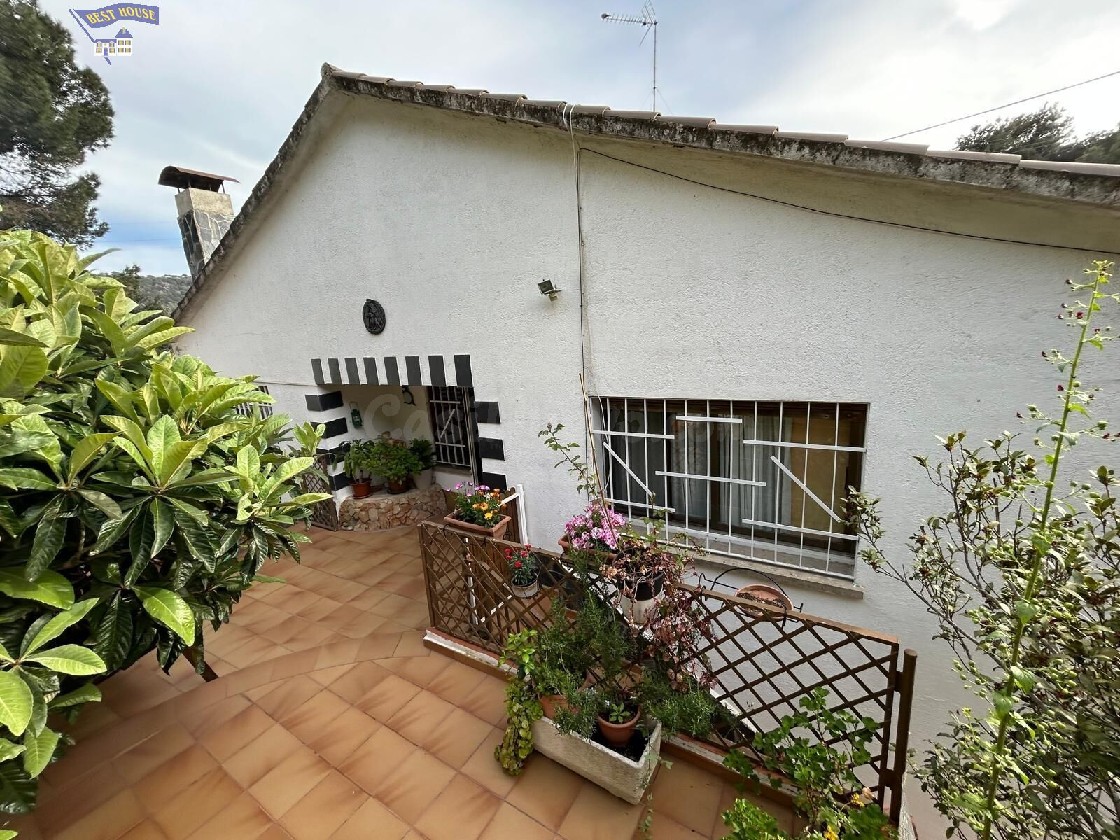 EXCLUSIVA PROPIEDAD EN VENTA EN ARGENTONA – ZONA CAN RAIMÍ – - foto 4