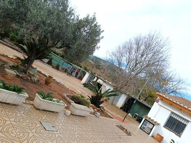 Chalet situado en Marxuquera con mucho terreno en plena prod - foto 3