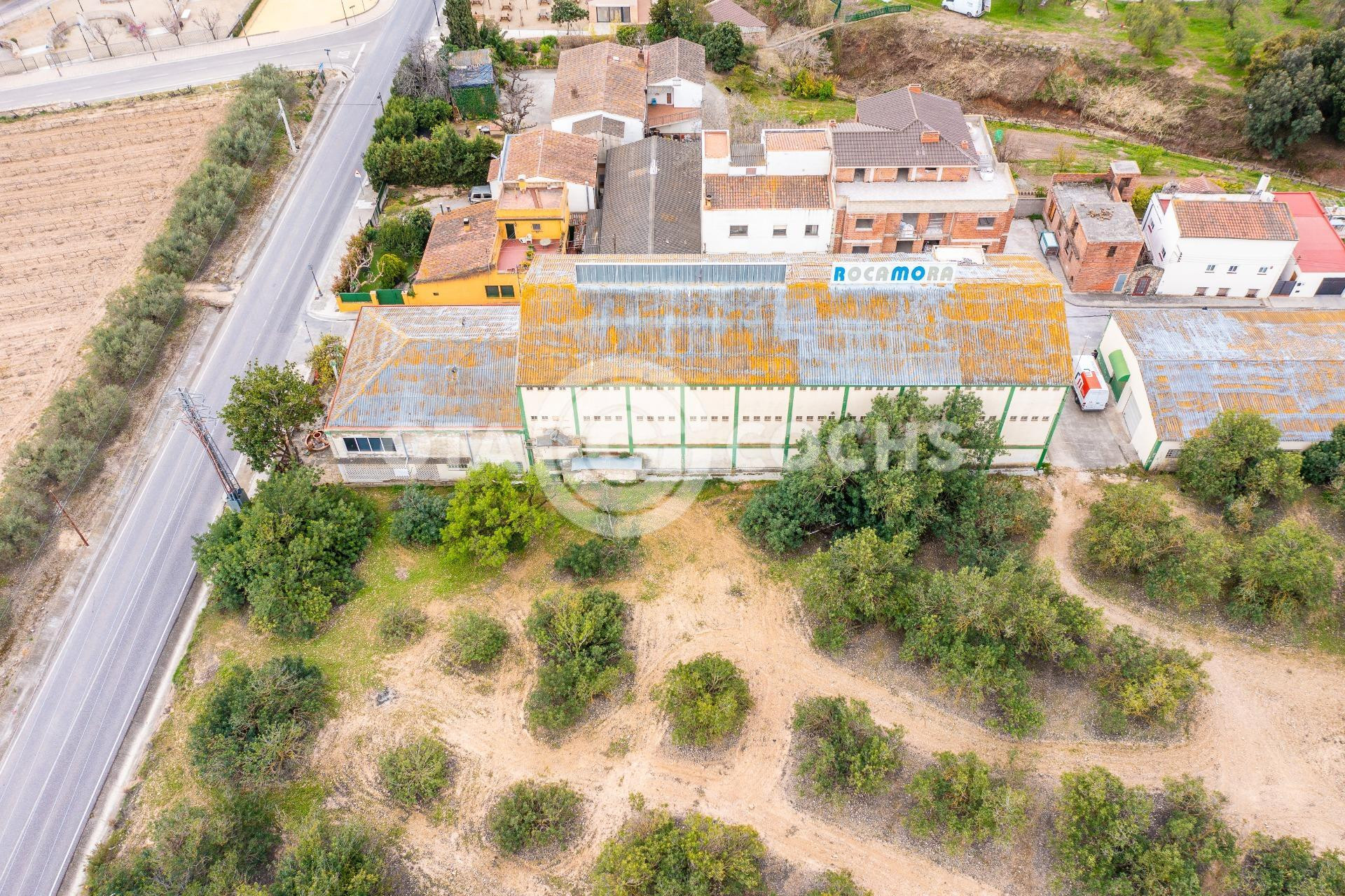 NAVE INDUSTRIAL EN VALLMOLL - foto 4