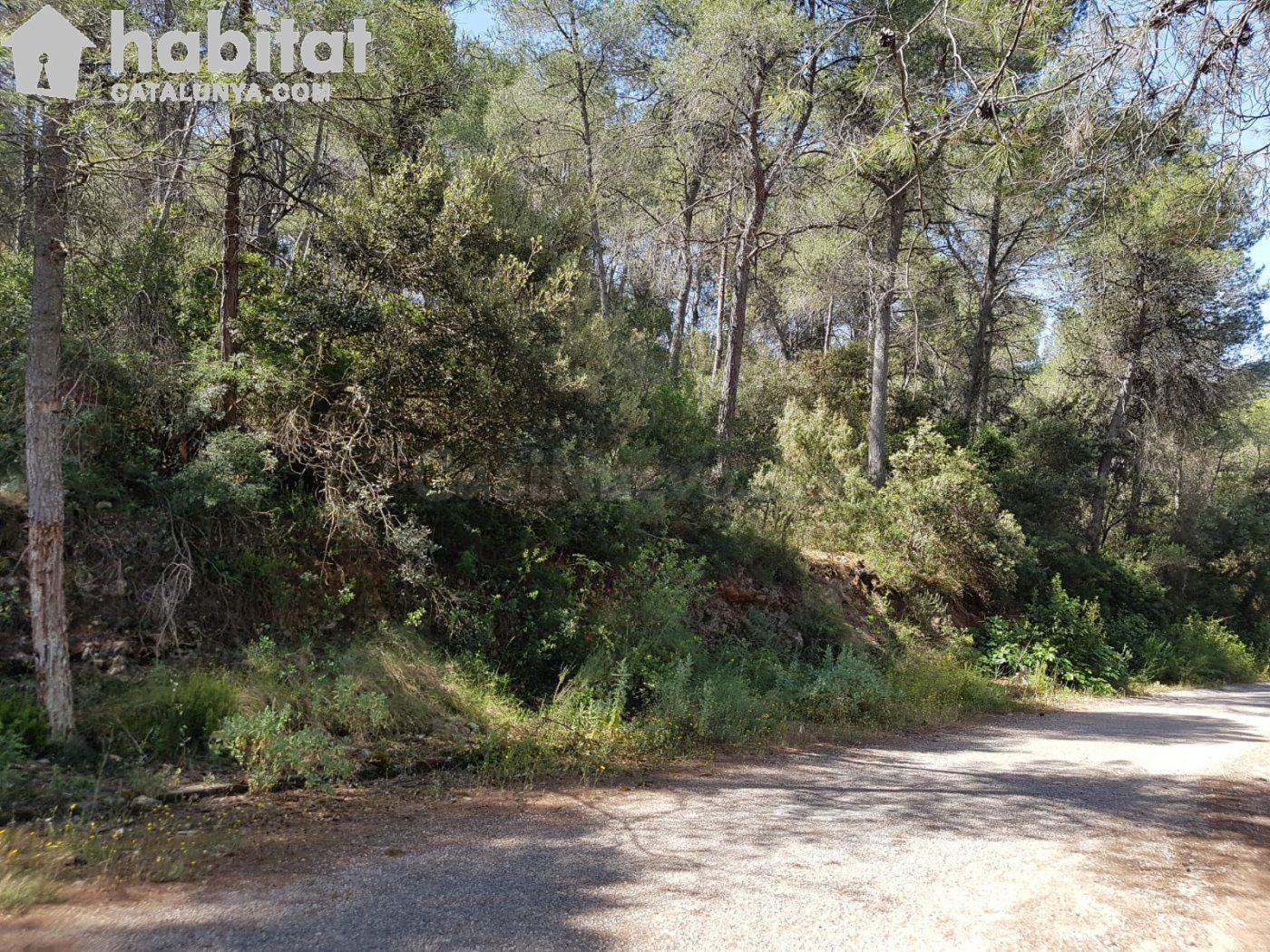 IDEAL INVERSIÓN ! Terreno venta en Urbanización Martivell
