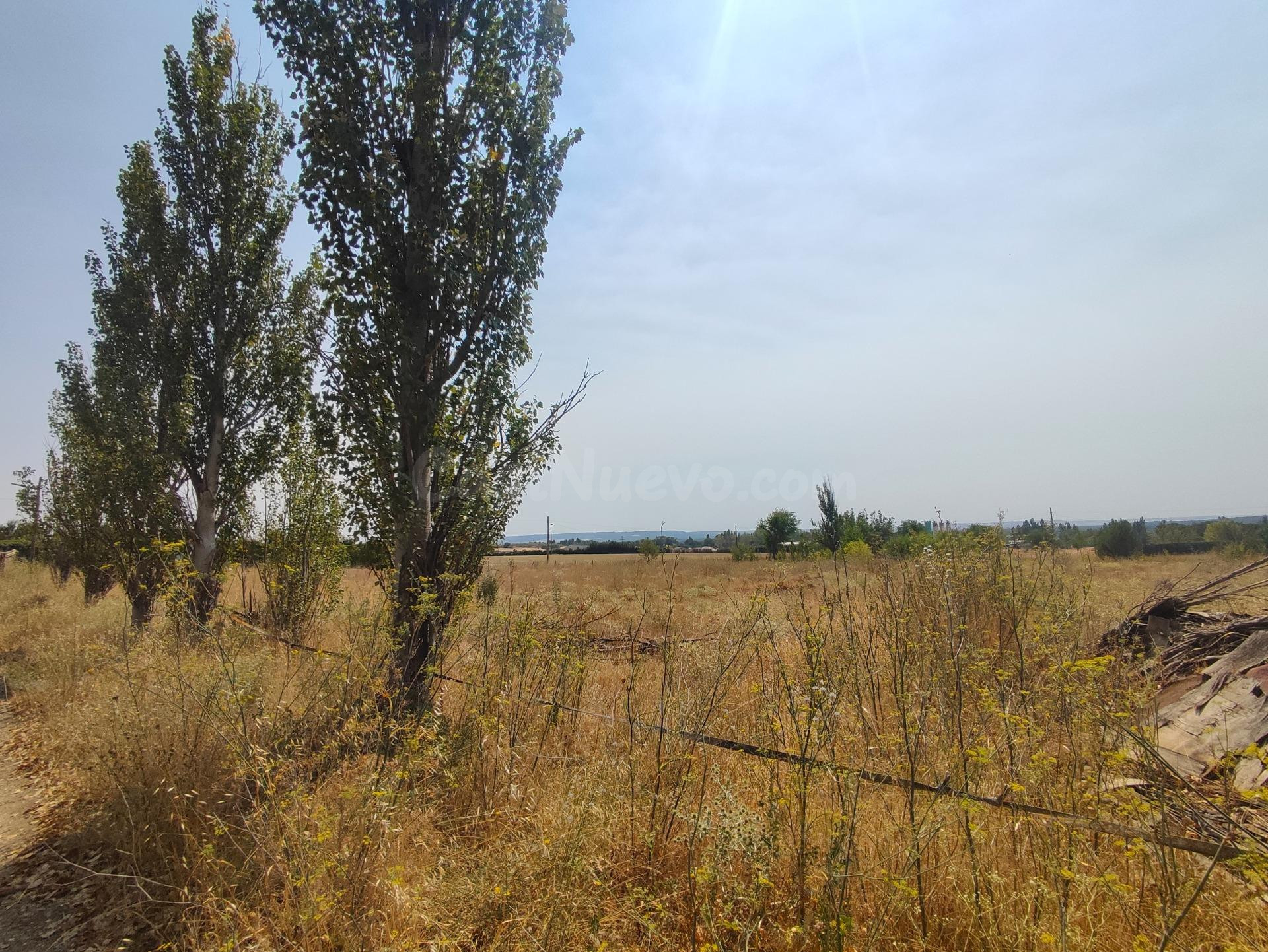 FINCA RUSTICA EN EL AROCAL - foto 4