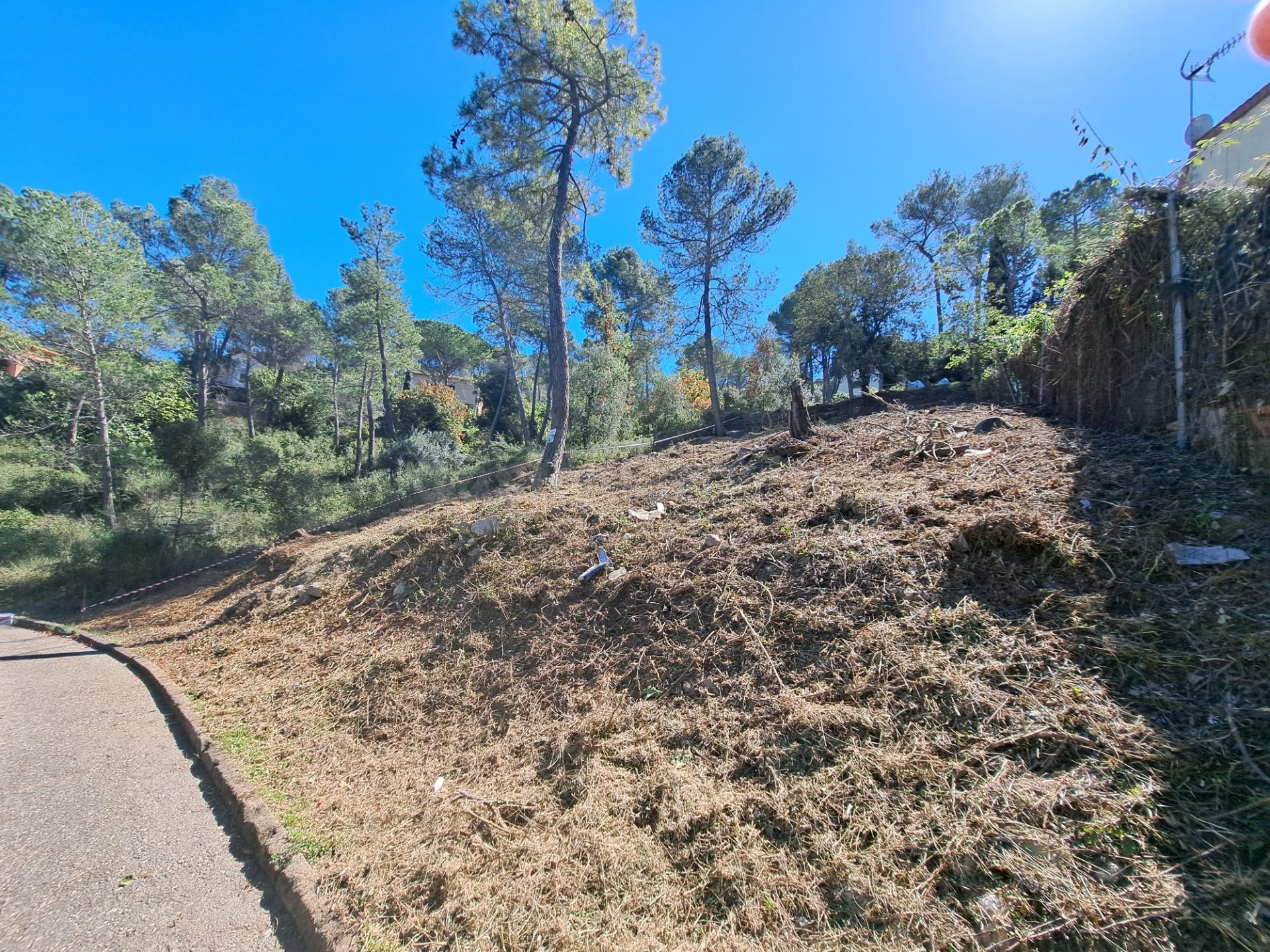 TERRENO OPORTUNIDAD! DÁ A DOS CALLES! VISTAS - foto 4