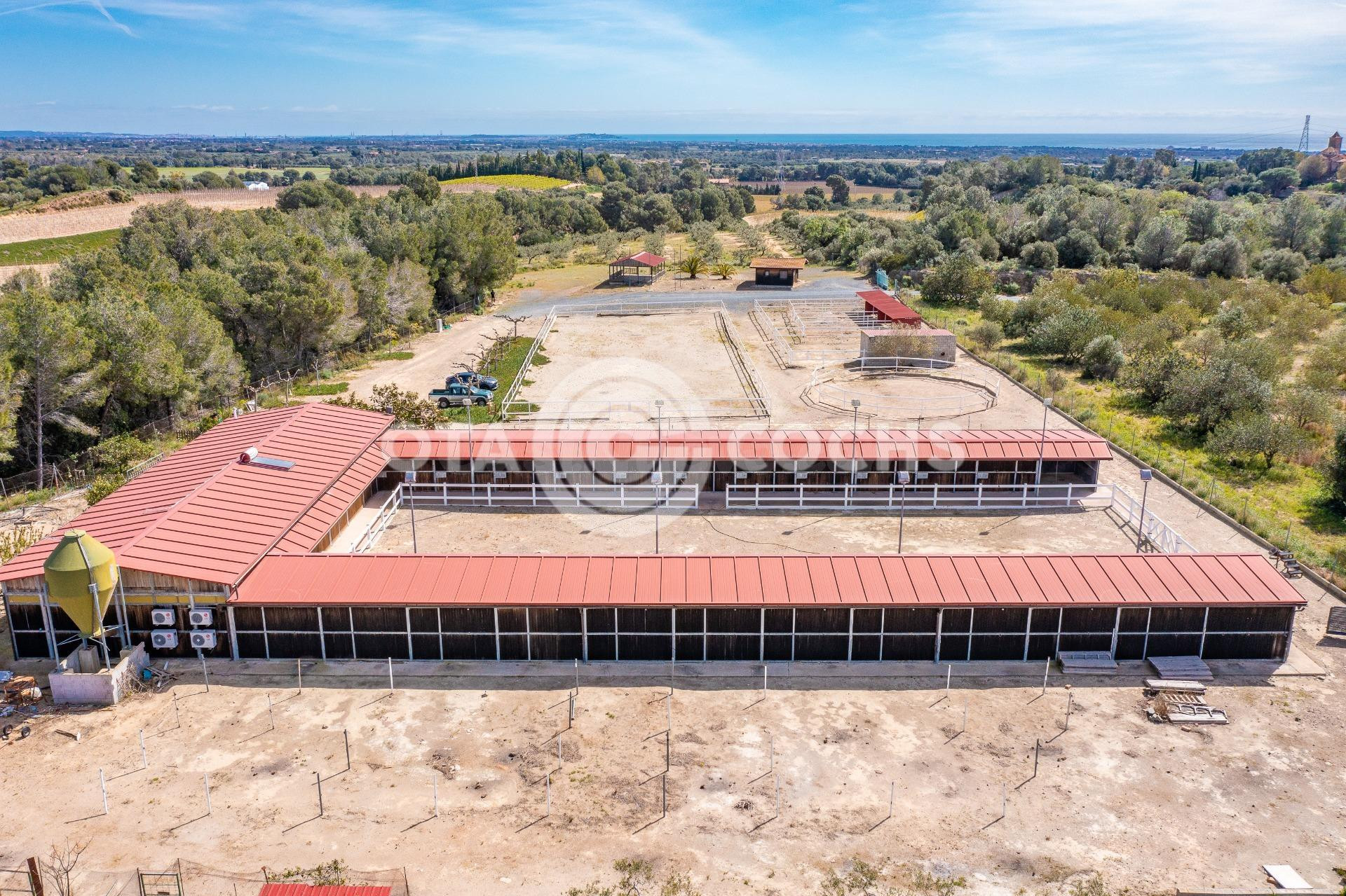 HIPICA EN VILANOVA D'ESCORNALBOU