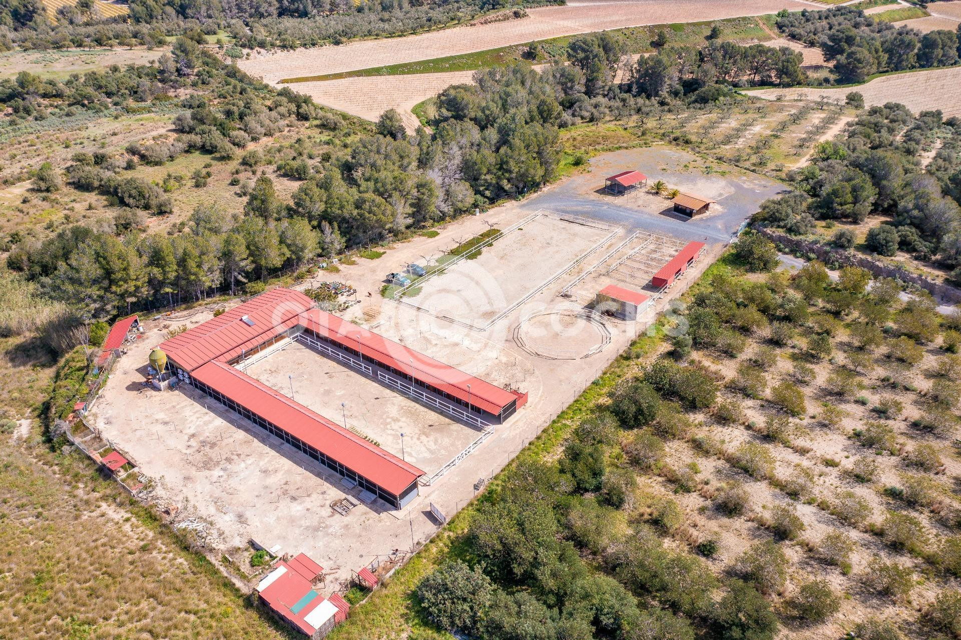 HIPICA EN VILANOVA D'ESCORNALBOU - foto 3