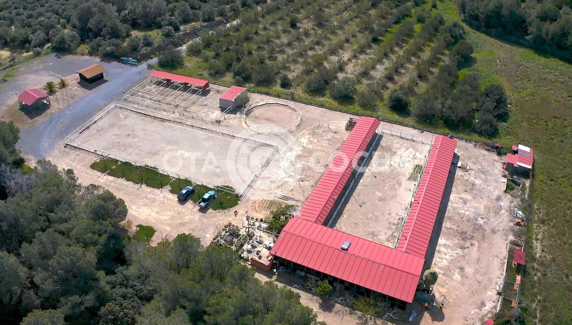 HIPICA EN VILANOVA D'ESCORNALBOU - foto 5