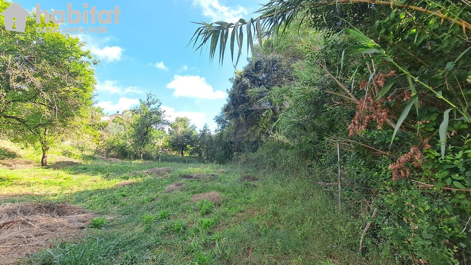 Terreno urbano en Montserrat Parc - foto 5