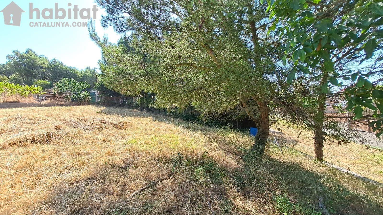 Terreno Urbano de 611m2 en Montserrat Park - foto 3