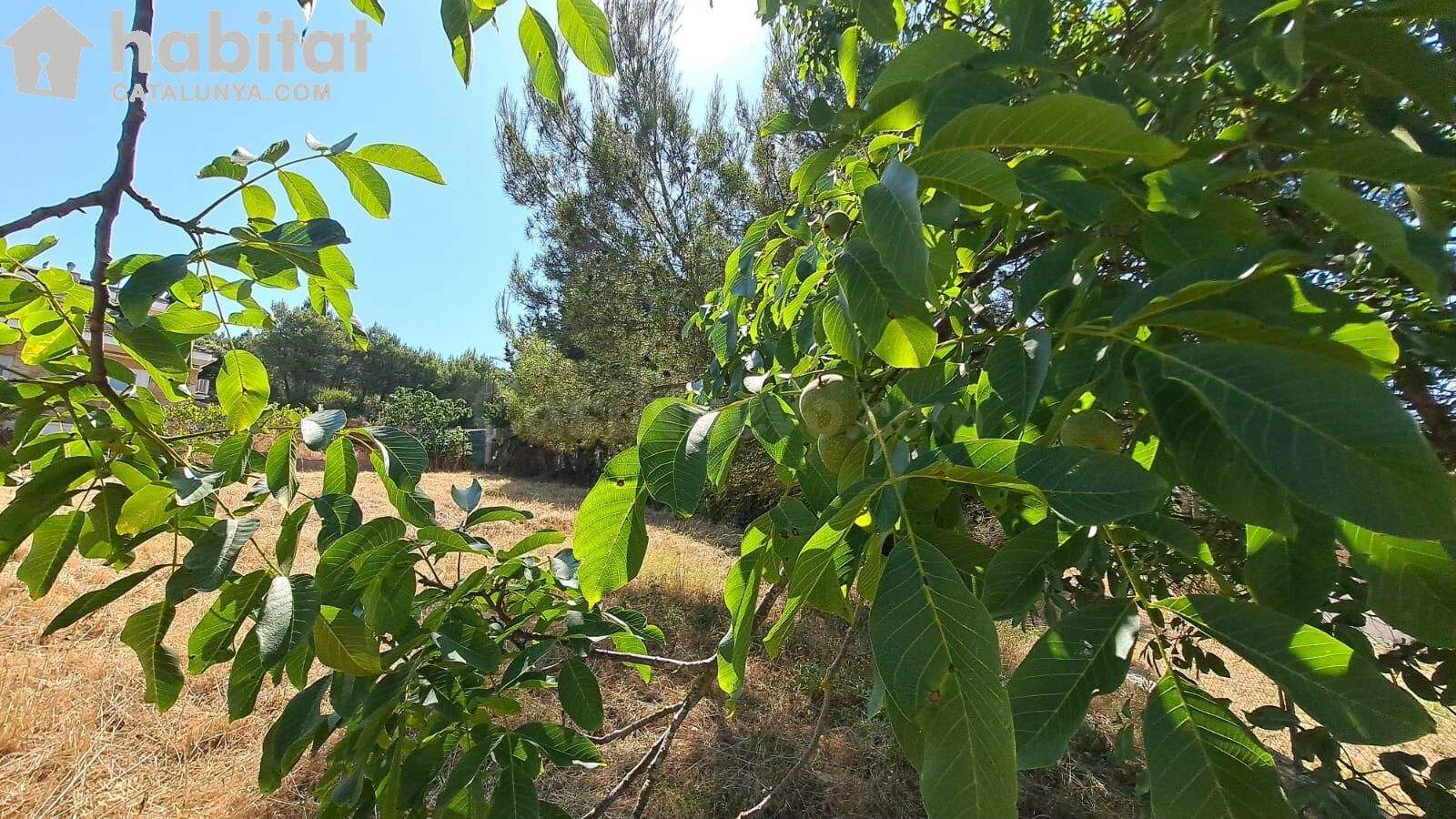 Terreno Urbano de 611m2 en Montserrat Park - foto 4