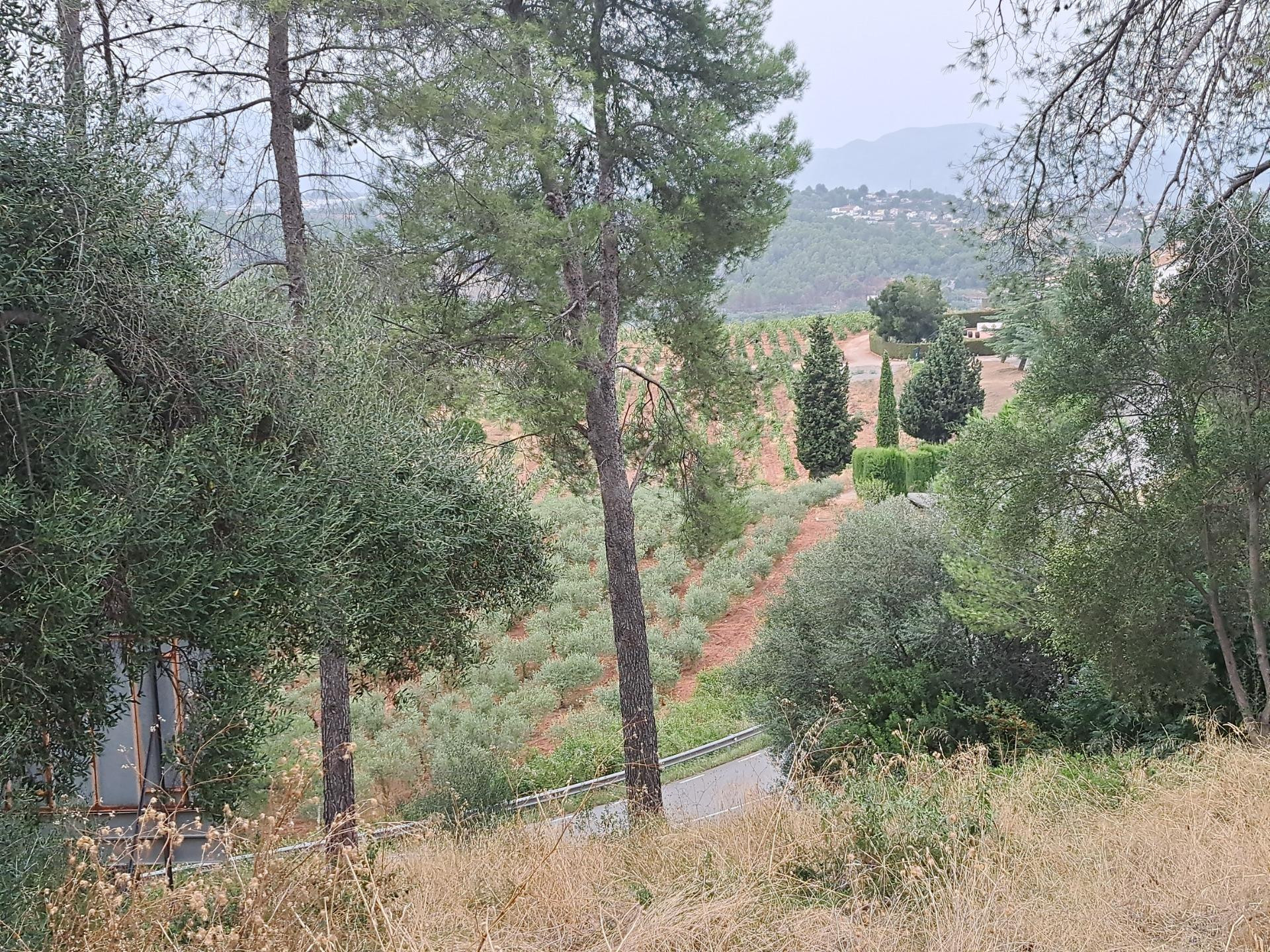 TERRENO URBANO EN VENTA EN URBANIZACIÓN EL TAIÓ, A 6 MINUTOS - foto 4