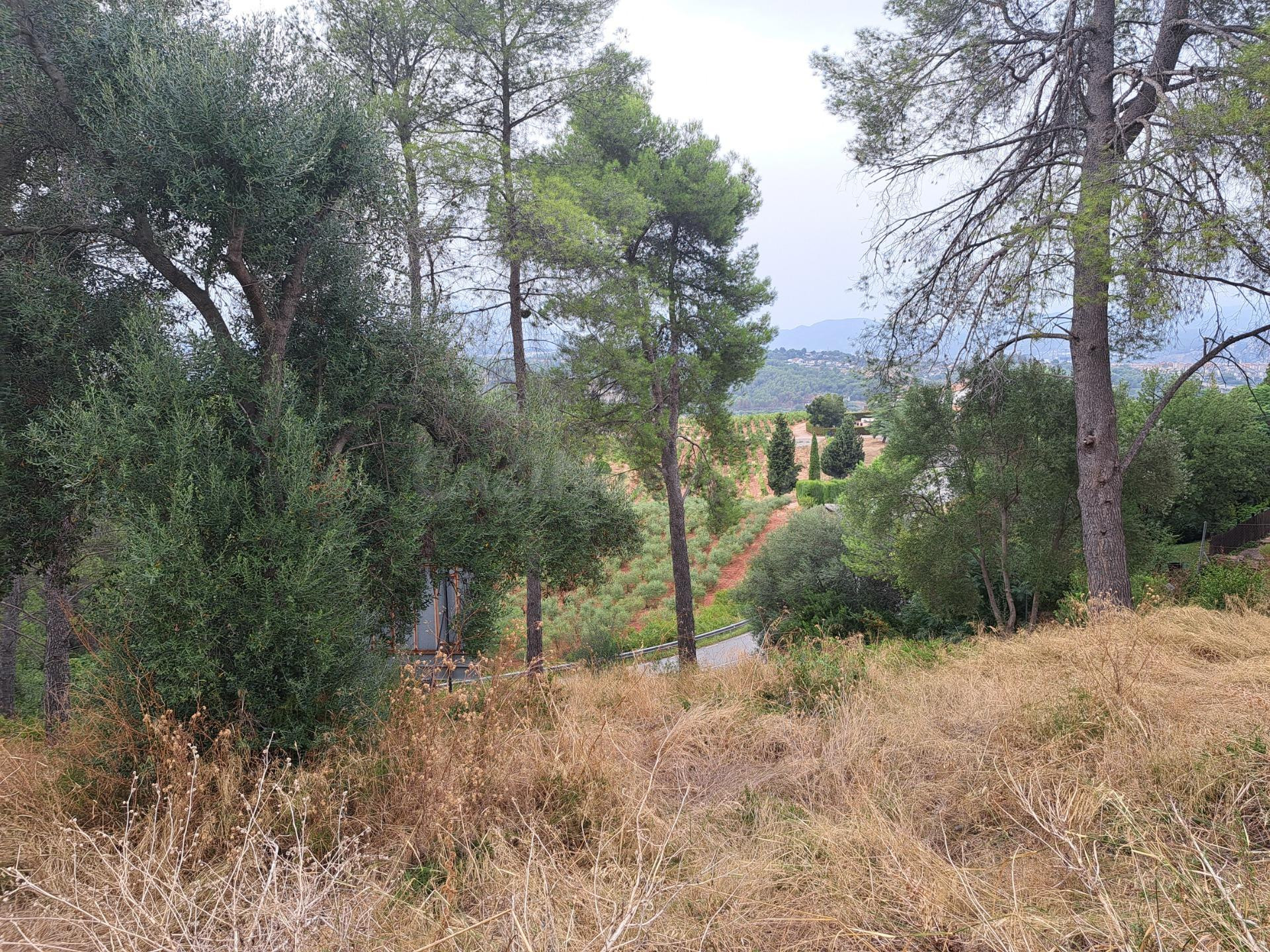 TERRENO URBANO EN VENTA EN URBANIZACIÓN EL TAIÓ, A 6 MINUTOS - foto 5