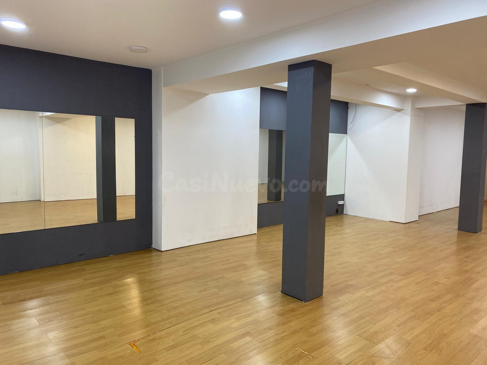LOCAL COMERCIAL TOTALMENTE REFORMADO, INSONORIZADO, 1 BAÑO Y - foto 5
