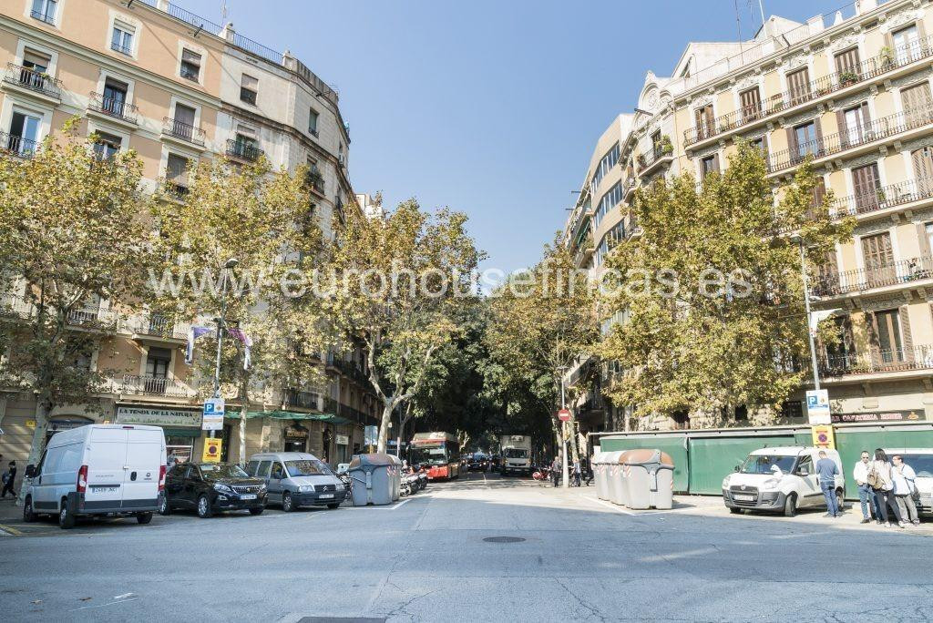 ¡¡¡¡Local en venta con gran rentabilidad!!!!