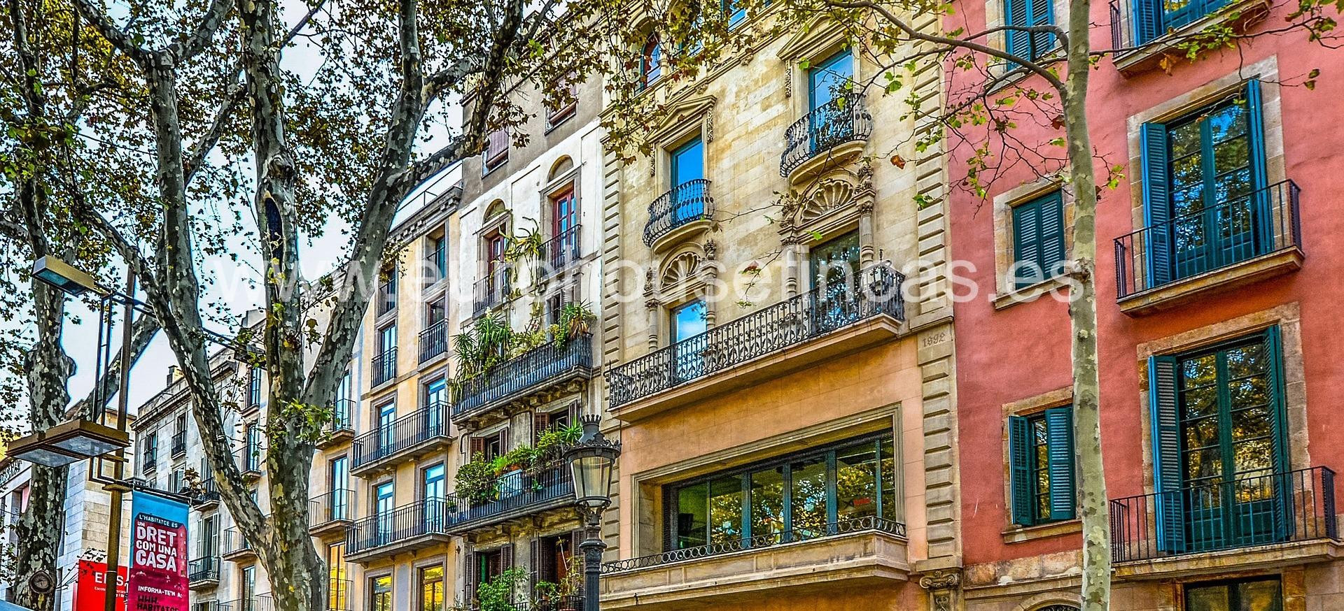 ¡¡¡¡Local en venta con gran rentabilidad!!!! - foto 4