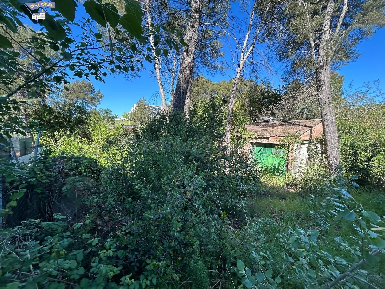 OPORTUNIDAD DE INVERSION, PARCELA AGRARIA CON NAVE INDUSTRIA - foto 5