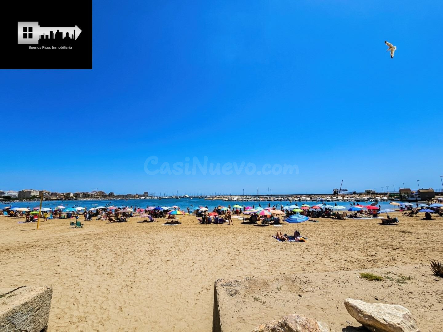 PISO EN TORREVIEJA A 200 METROS DEL MAR!!!!