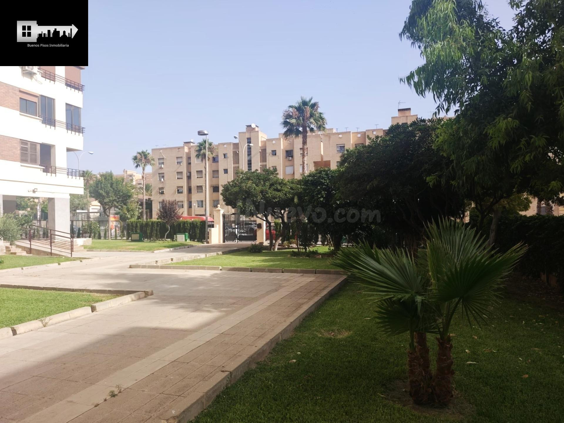 GARAJE EN VENTA - AV. LORENZO CARBONELL  Nº11 BABEL !!! - foto 5