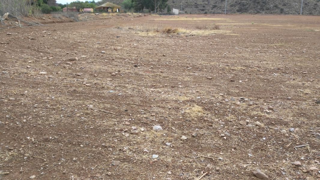 Parcela en Purias, Zona Ctra. de Aguilas