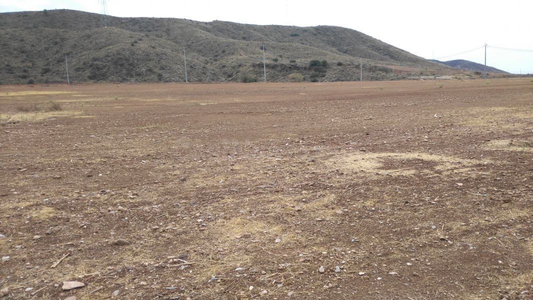 Parcela en Purias, Zona Ctra. de Aguilas - foto 3