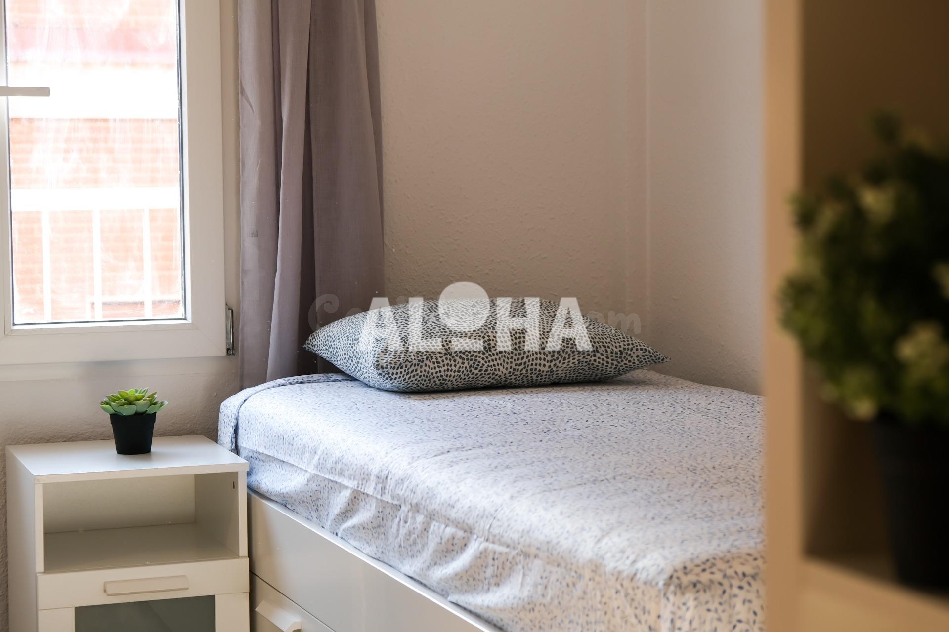 HABITACIÓN EN ALQUILER PARA ESTUDIANTES UNIVERSITARIOS (SOLO