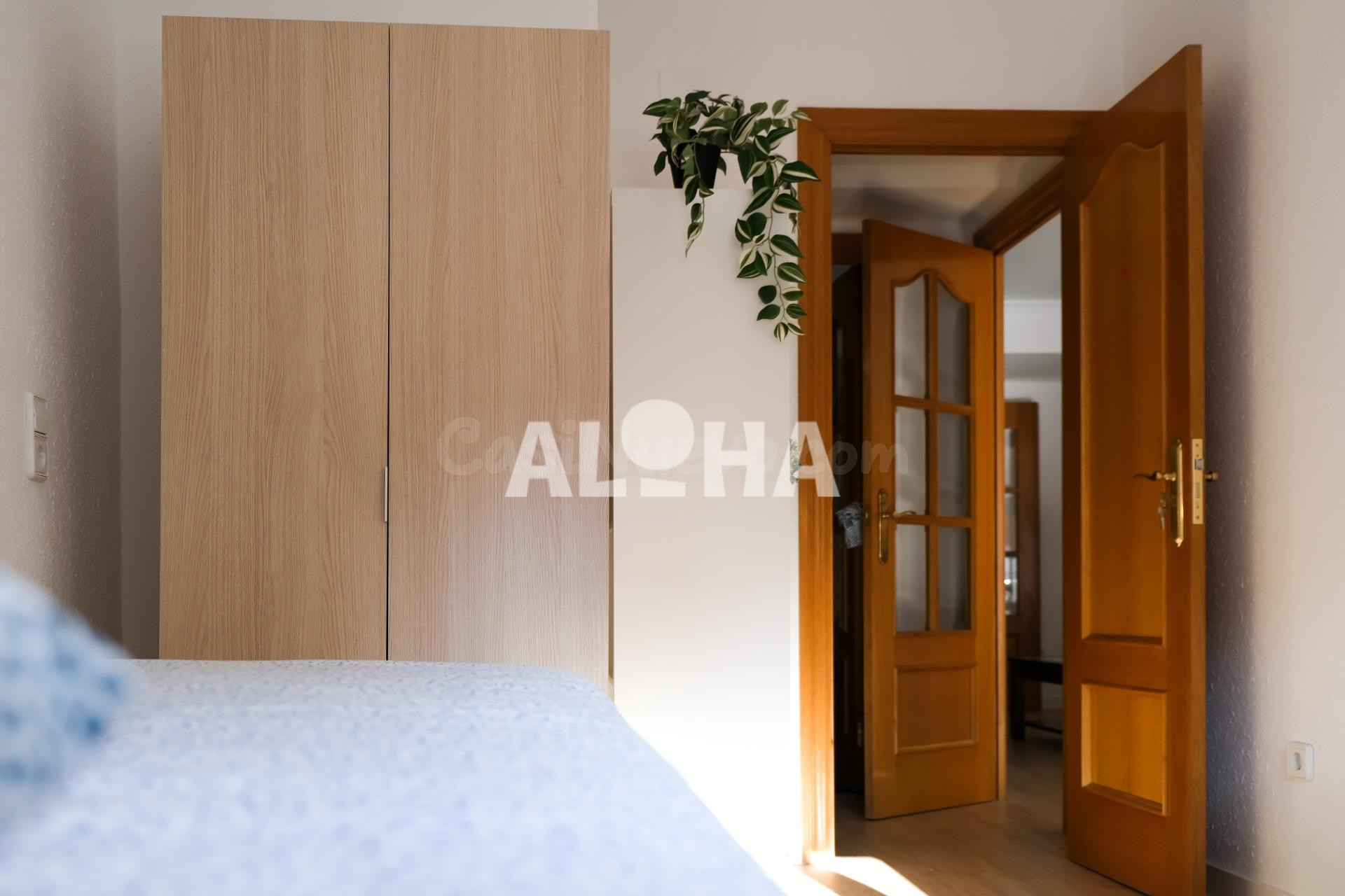 HABITACIÓN EN ALQUILER PARA ESTUDIANTES UNIVERSITARIOS (SOLO - foto 2