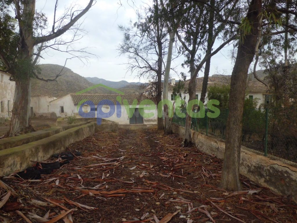 Finca Rústica con Edificaciones Varias - foto 4
