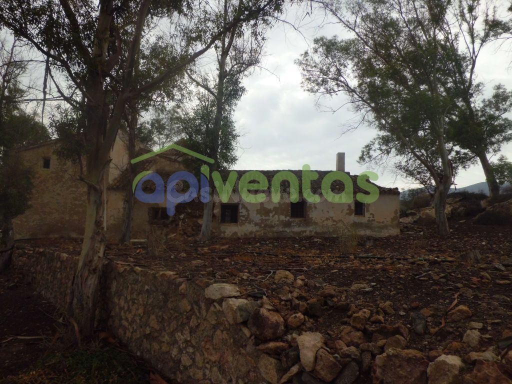 Finca Rústica con Edificaciones Varias - foto 5