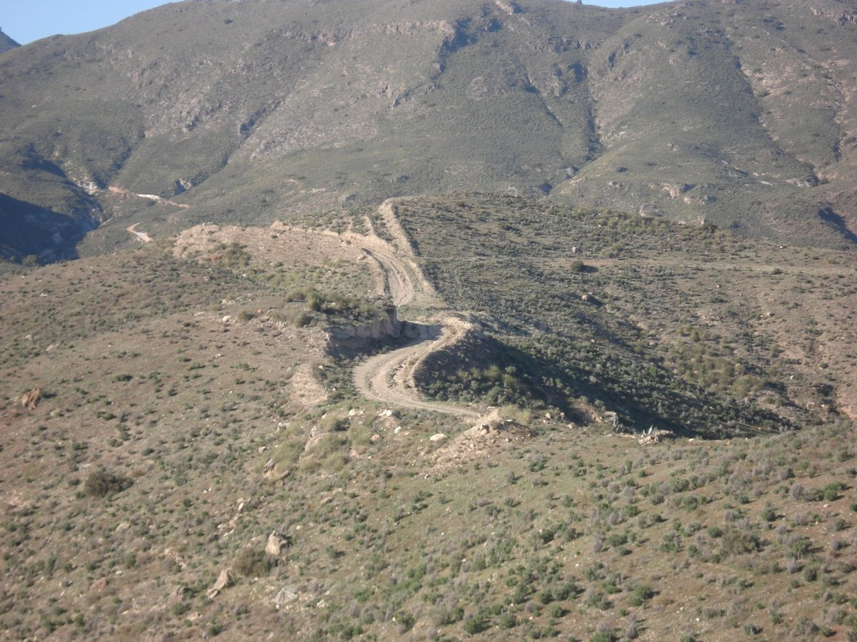 FINCA GOÑAR-HUERCAL OVERA 52 hectáreas y metida en un coto d - foto 2