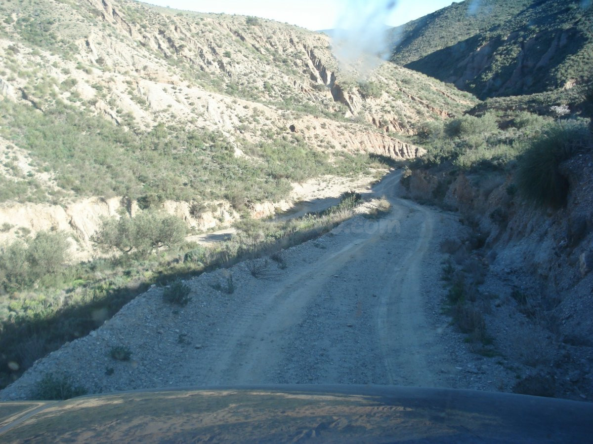 FINCA GOÑAR-HUERCAL OVERA 52 hectáreas y metida en un coto d - foto 3