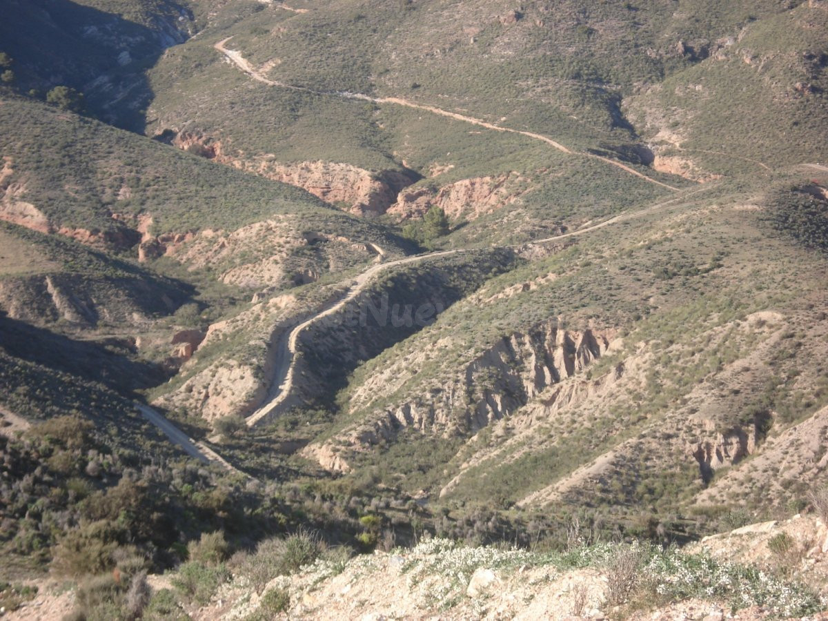 FINCA GOÑAR-HUERCAL OVERA 52 hectáreas y metida en un coto d - foto 4