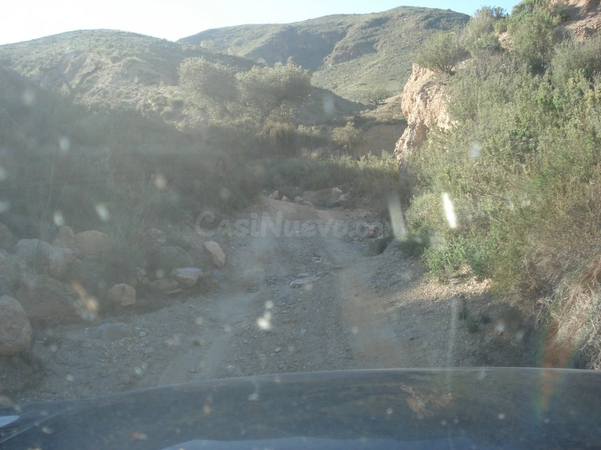 FINCA GOÑAR-HUERCAL OVERA 52 hectáreas y metida en un coto d - foto 5