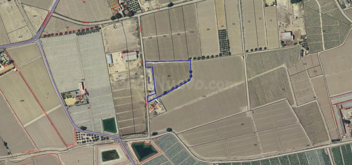 SE VENDE PARCELA EN LA DIPUTACIÓN DE LA HOYA - LORCA - foto 2
