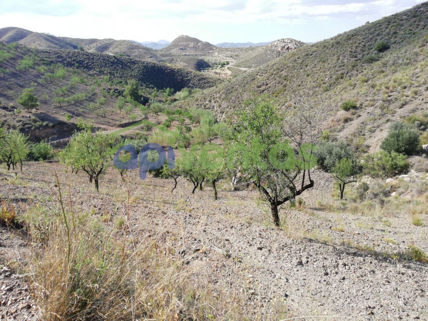 Finca Rústica, Cart Del Consejero, (LAS CANTERAS)