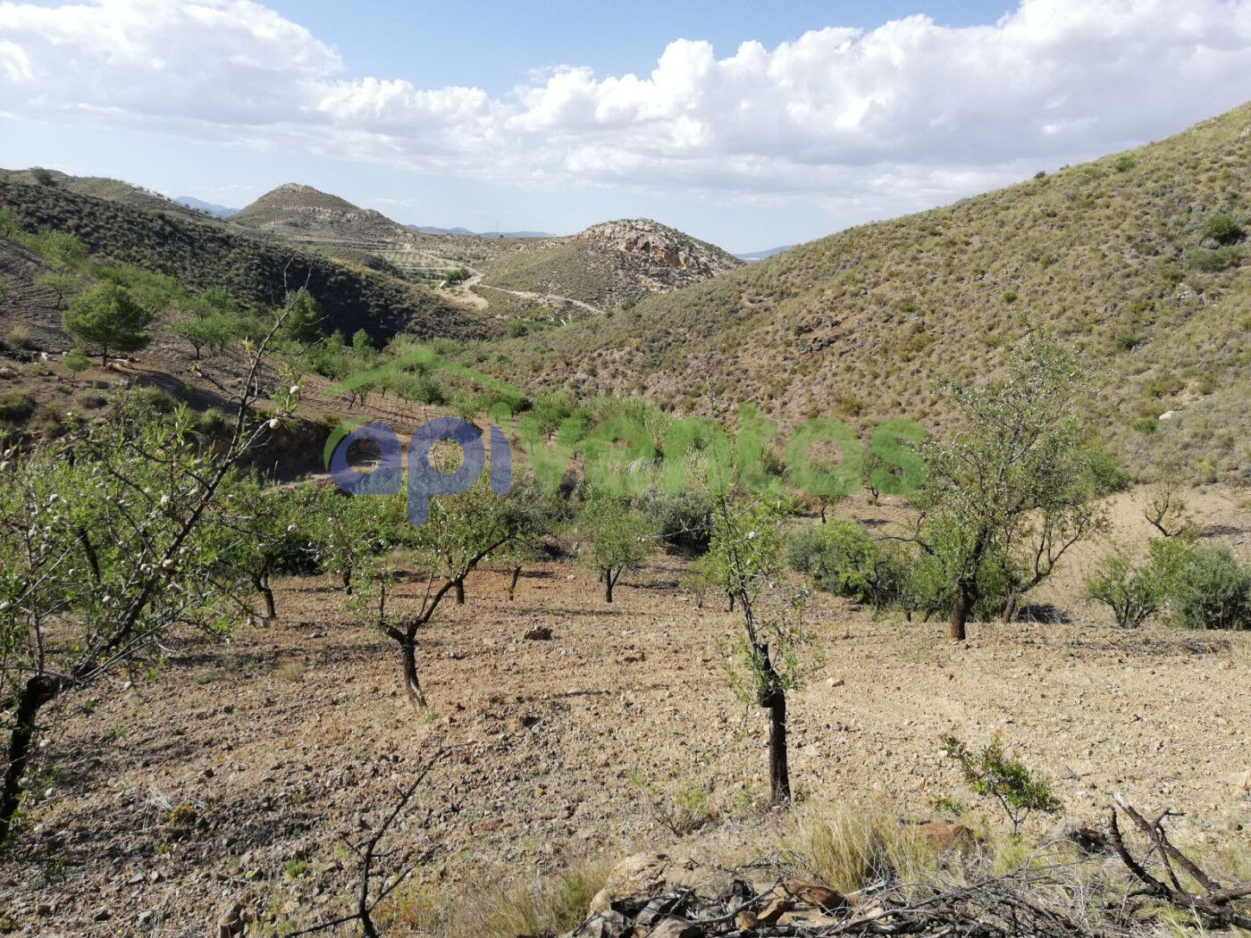 Finca Rústica, Cart Del Consejero, (LAS CANTERAS) - foto 2