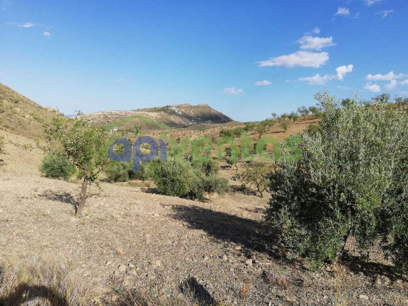 Finca Rústica, Cart Del Consejero, (LAS CANTERAS) - foto 3