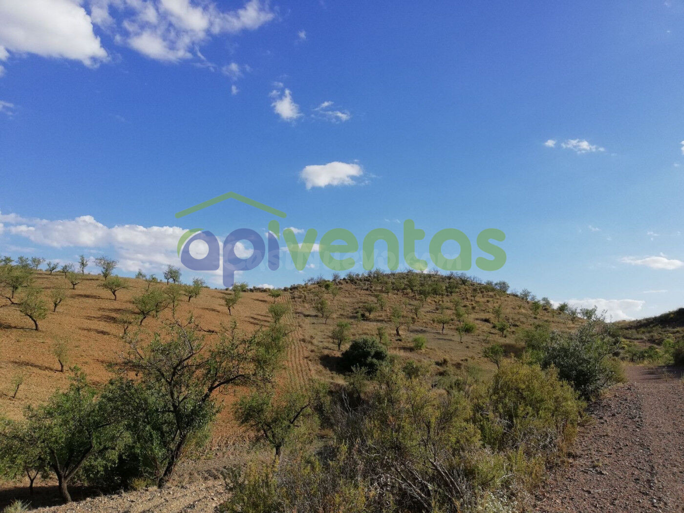 Finca Rústica, Cart Del Consejero, (LAS CANTERAS) - foto 5