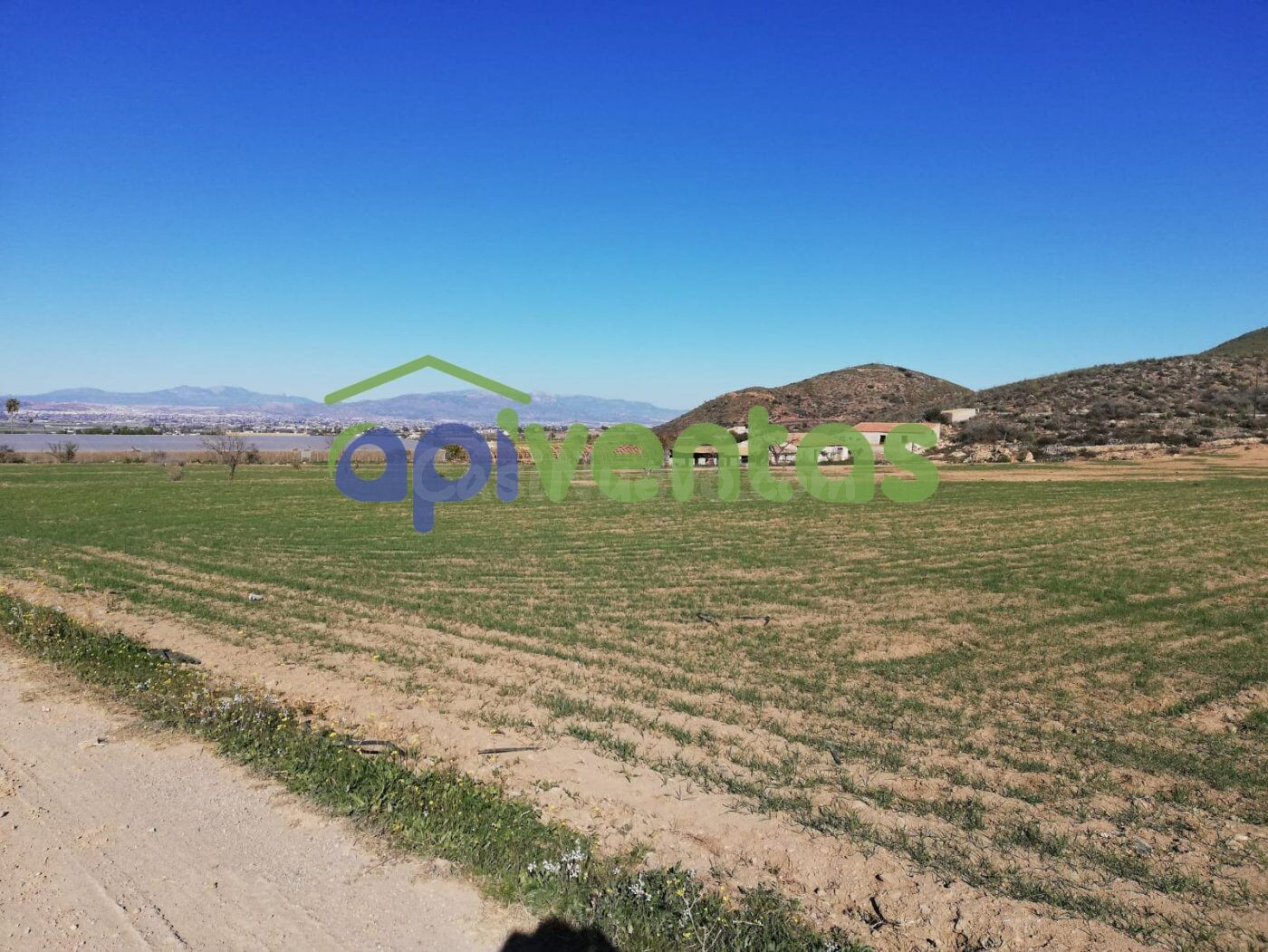 Finca rústica con Vivienda y Almacén