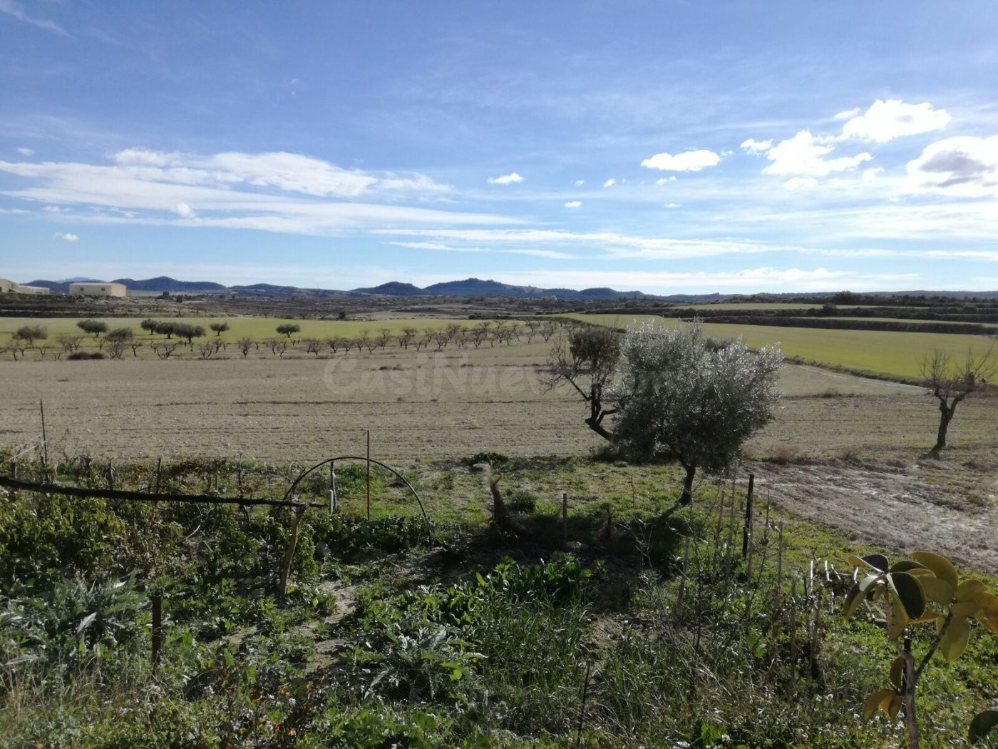 CORTIJO EN MORATALLA (CASA CON TERRENO) - foto 2