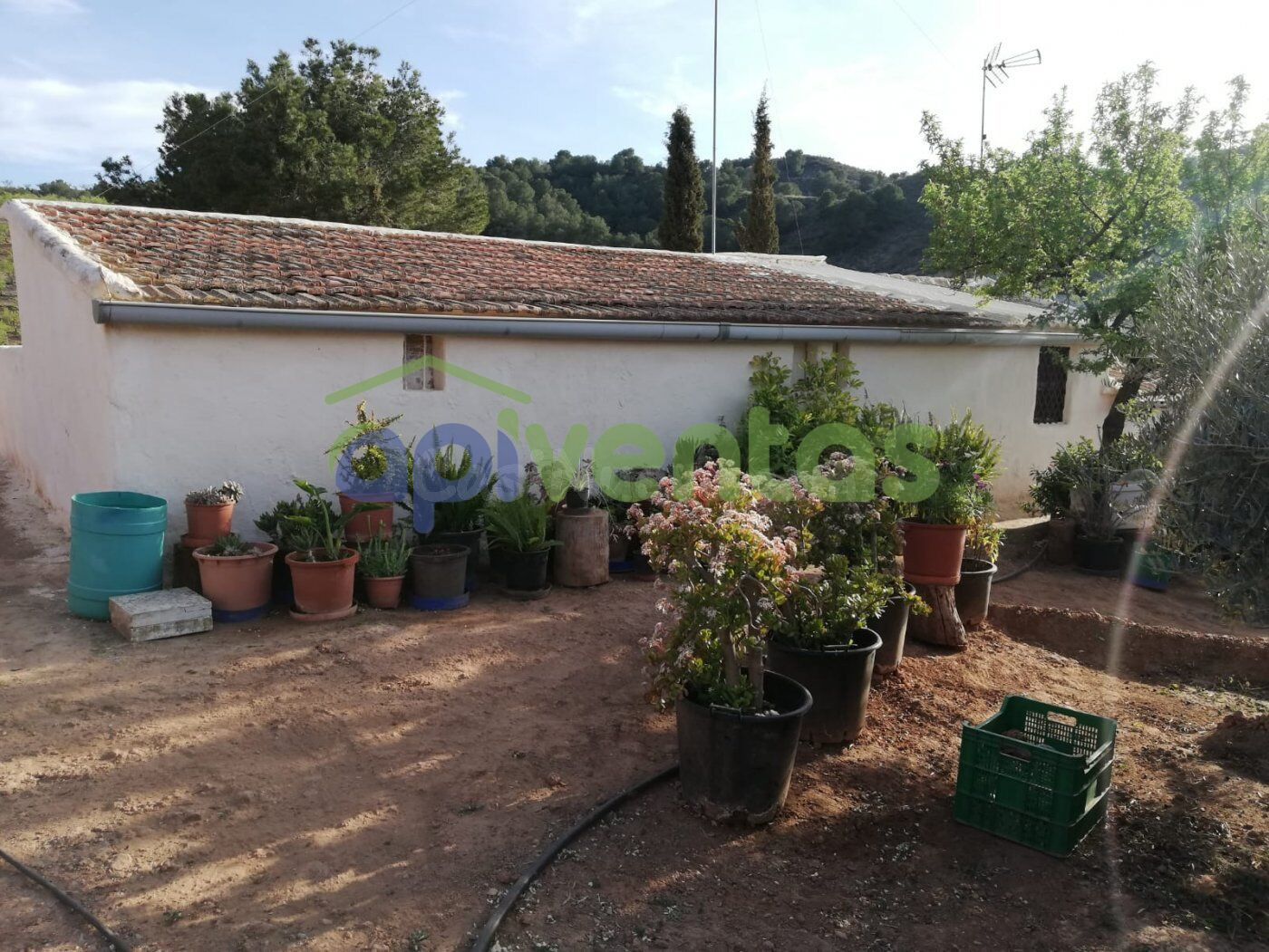 Casa rural en la Sierra de la Almenara