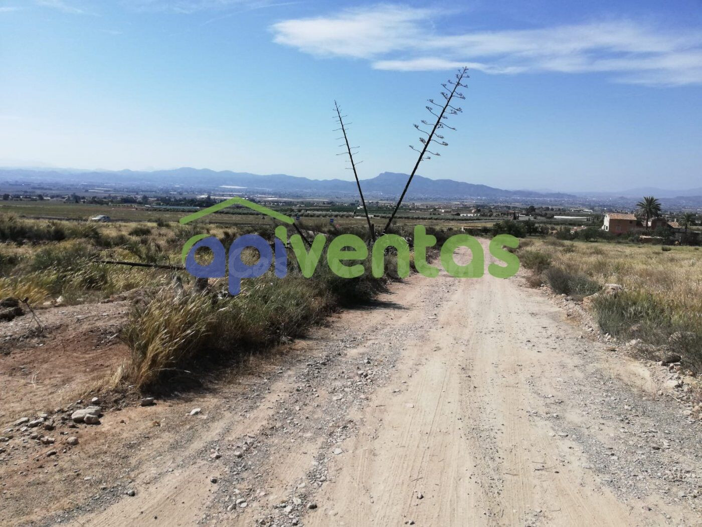 Terreno camino La Torre, junto autovía Lorca