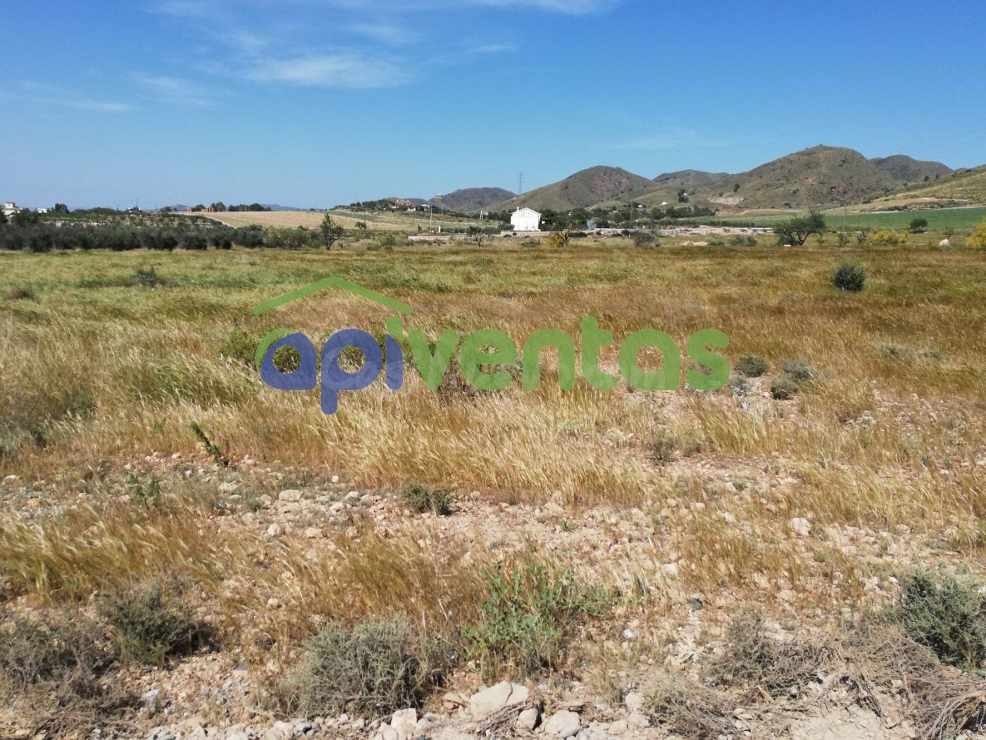 Terreno camino La Torre, junto autovía Lorca - foto 3