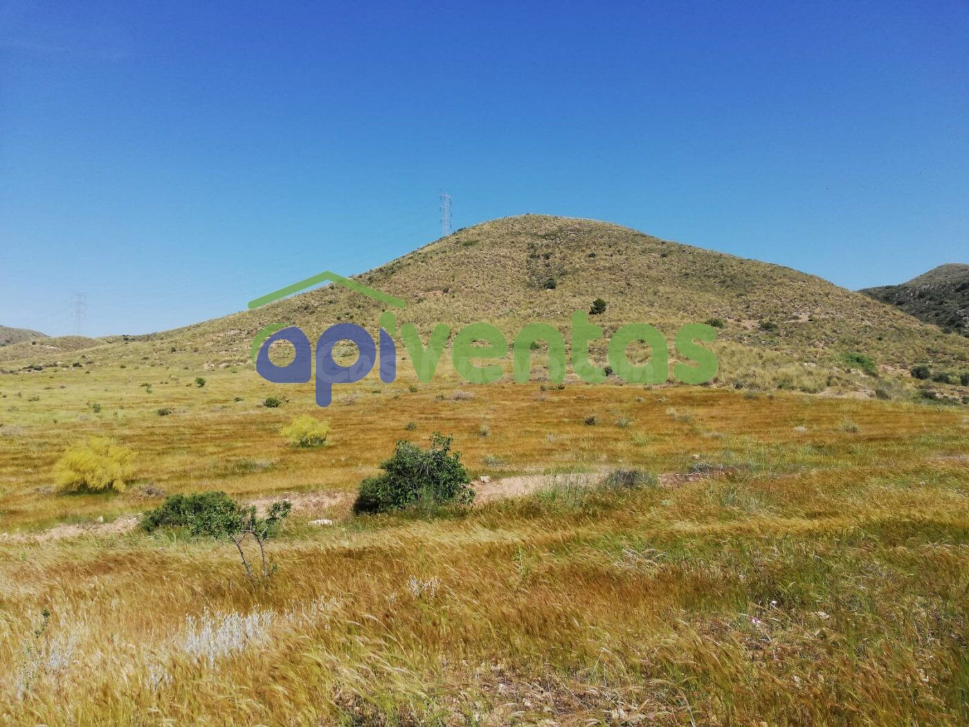 Terreno camino La Torre, junto autovía Lorca - foto 4