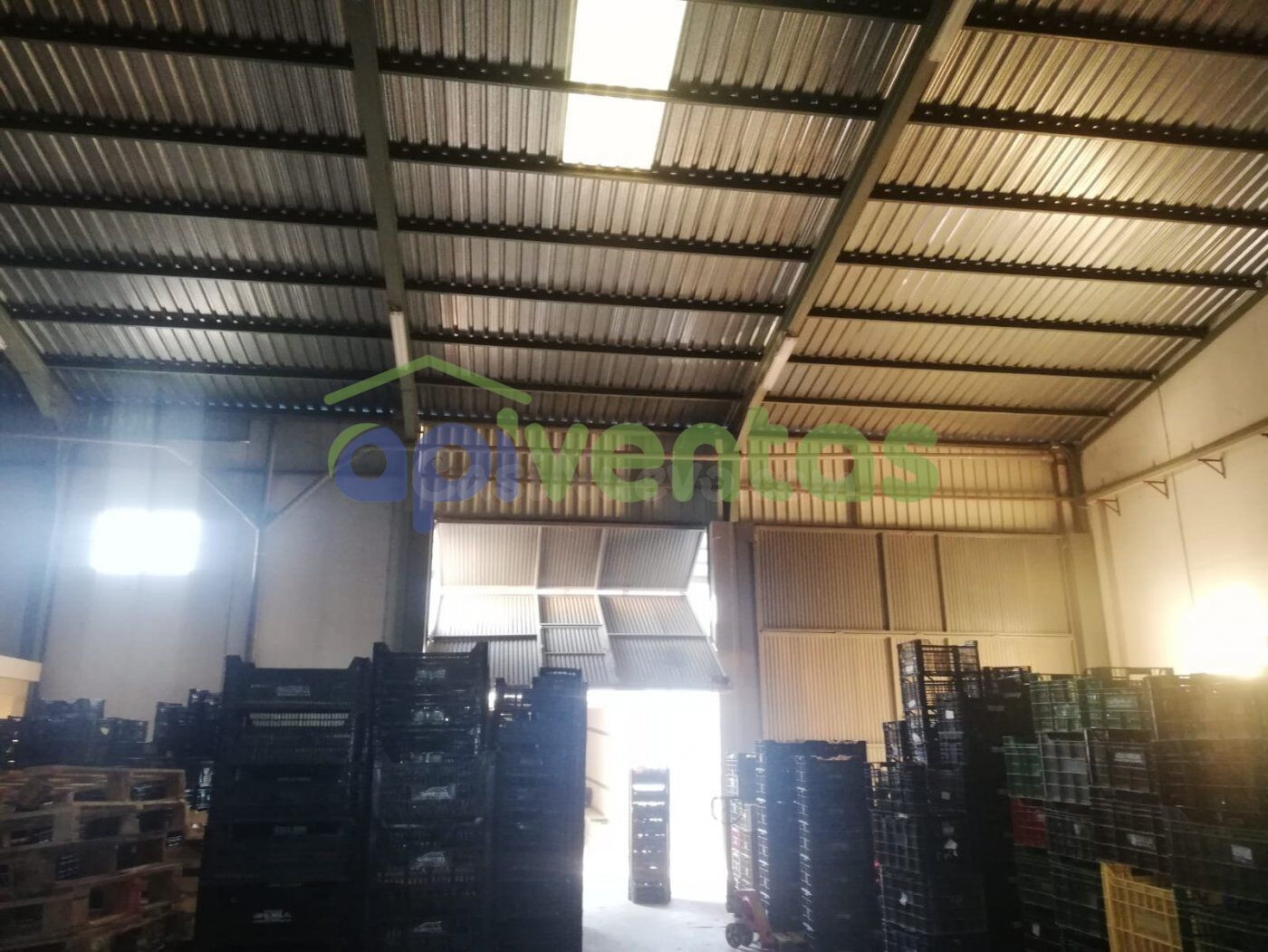 Nave industrial con camara frigorifica - foto 3