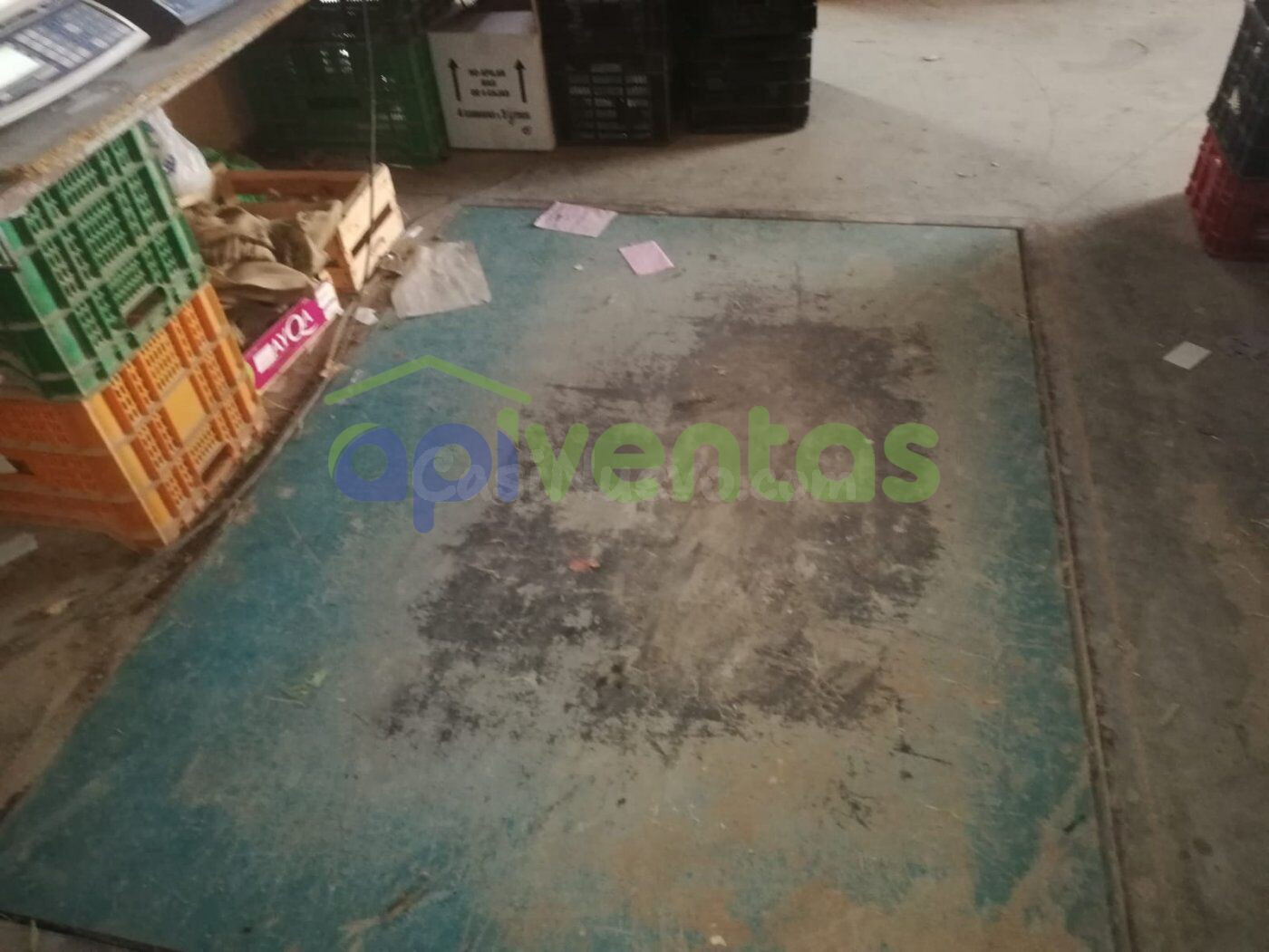 Nave industrial con camara frigorifica - foto 4