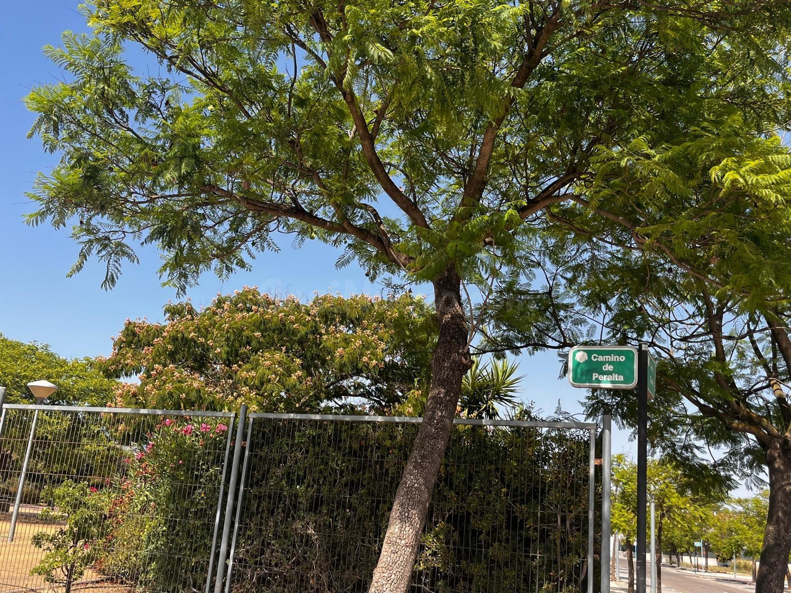 SUELO FINALISTA PARA 32 UNIFAMILIARES EN MAIRENA DEL ALJARAF - foto 4