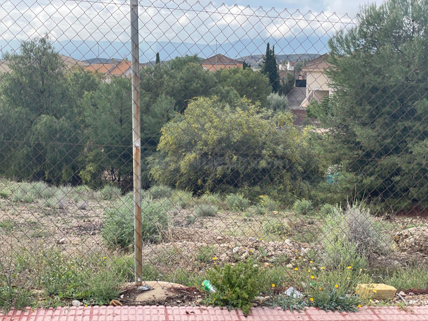SOLAR URBANO EN EL COTO  DE 1300M2 - foto 3